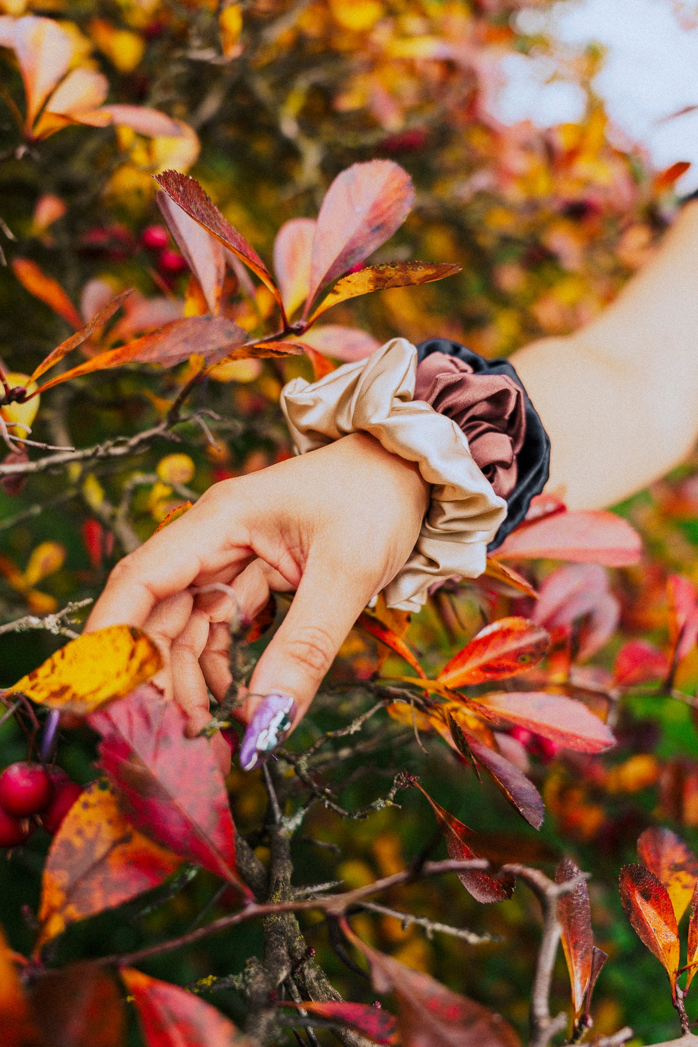 🎀 Trio de chouchous en soie –