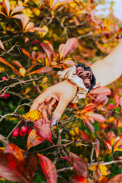 🎀 Trio de chouchous en soie –